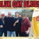 Blue Cat Blues