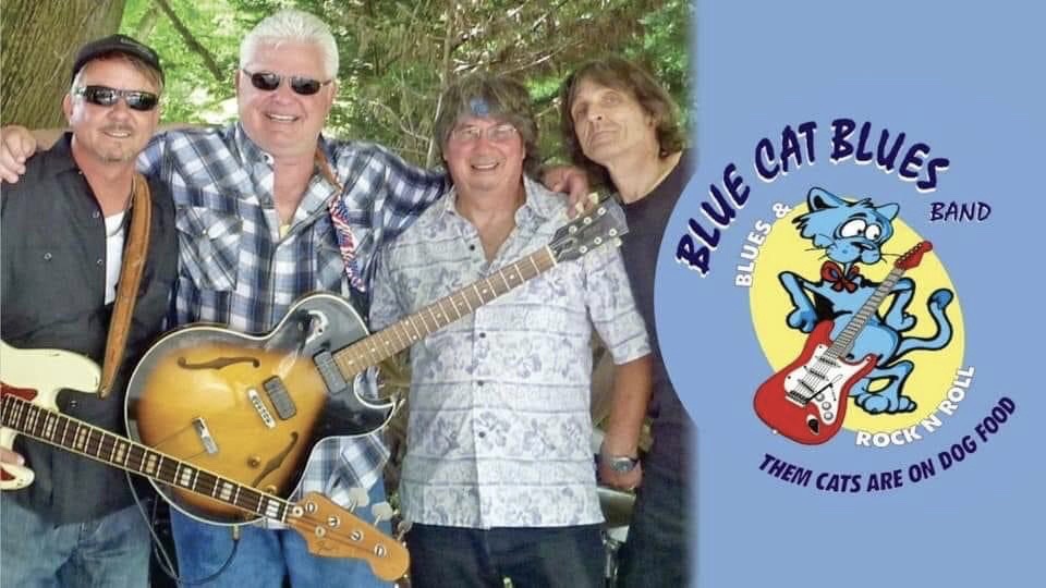 Blue Cat Blue Band